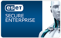 Secure Enterprise AV Level pudełko